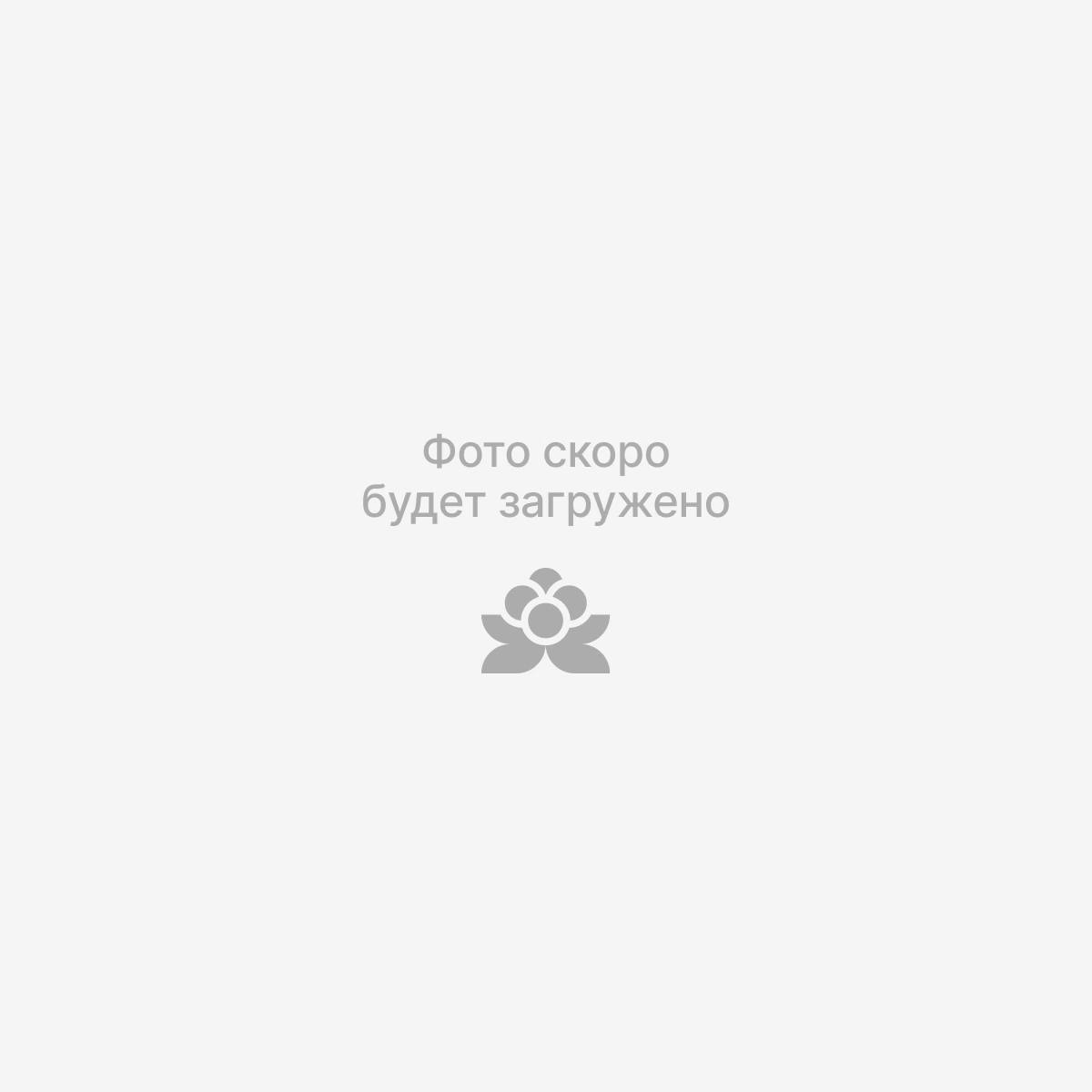 Гватемала Мариас Ариенте 200г
